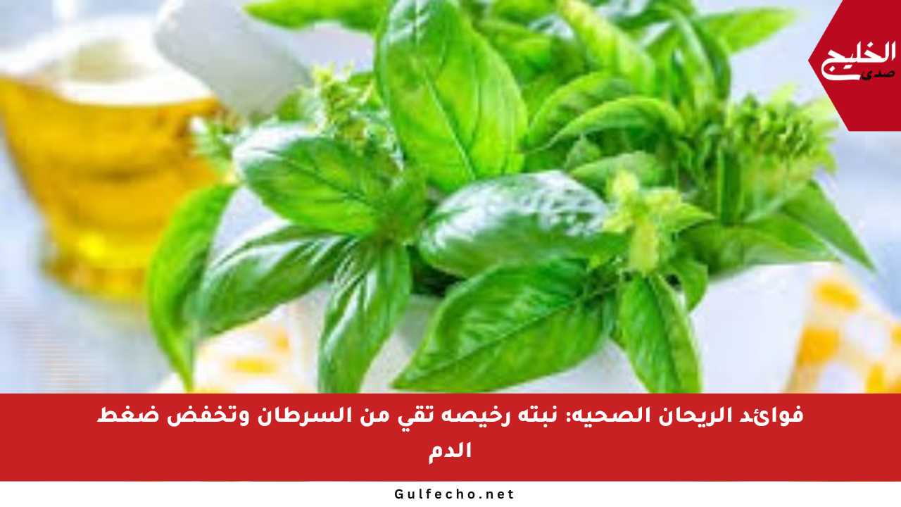 فوائد الريحان الصحية: نبتة رخيصة تقي من السرطان وتخفض ضغط الدم